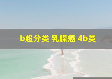 b超分类 乳腺癌 4b类